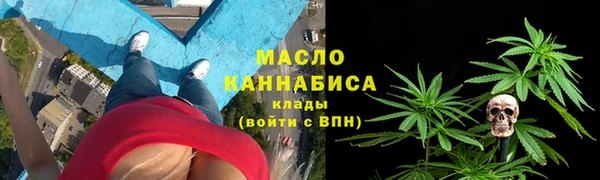 соль ск Кукмор