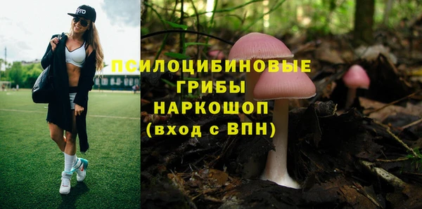 ECSTASY Куйбышев