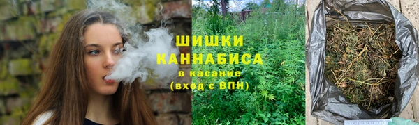 соль ск Кукмор
