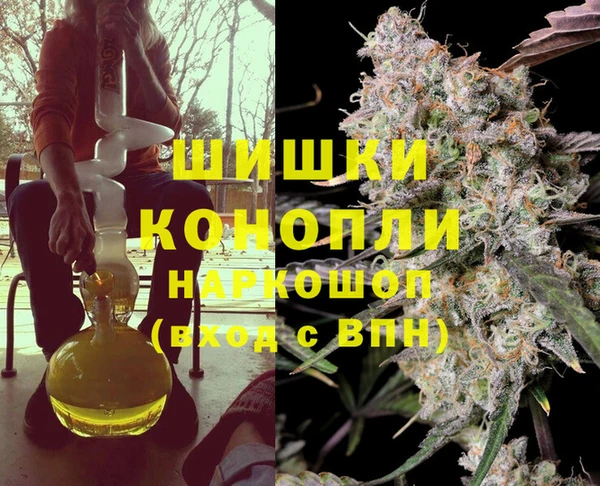 соль ск Кукмор