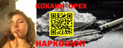 эйфоретик Аргун