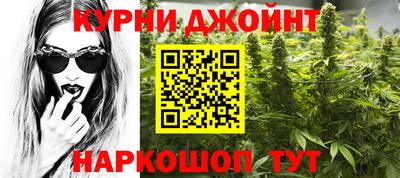сатива Ирбит