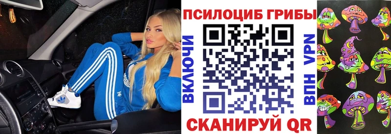 Псилоцибиновые грибы Cubensis ссылка на мегу зеркало Симферополь