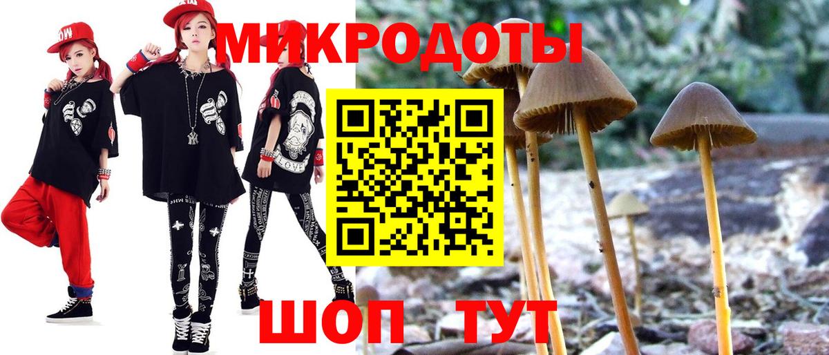 Псилоцибиновые грибы Psilocybe  где найти   Симферополь  Галлюциногенные грибы мухоморы 