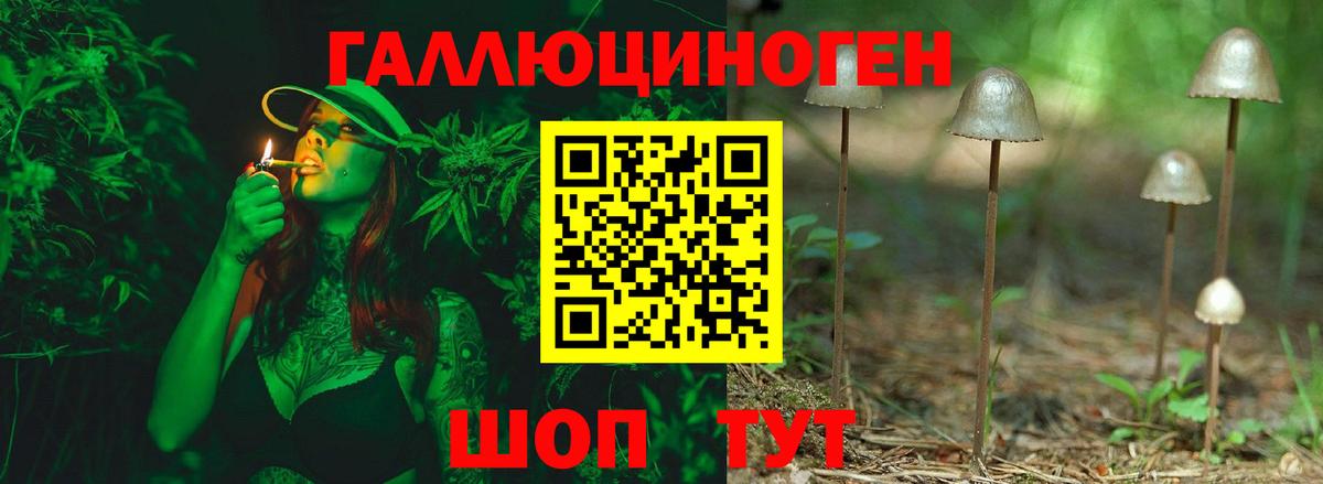 Галлюциногенные грибы мухоморы Симферополь